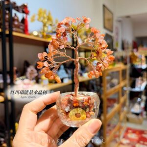 🔴 红玛瑙树｜red agate crystal tree