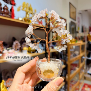 🤍 白水晶树 | clear quartz crystal tree