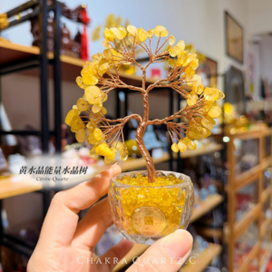 💛 黄水晶树 | citrine crystal tree