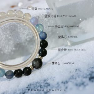 🌊 海蓝秘境 ocean sanctuary